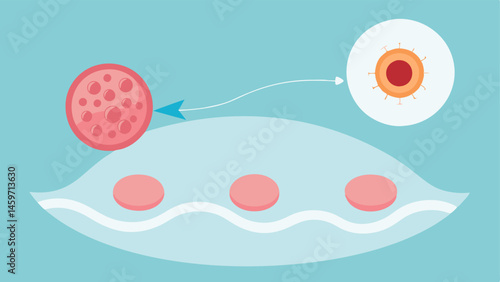 Healing Cells Activation A vector image portraying skin stem cells being activated by exosomes to regenerate skin highlighting the rejuvenation process.