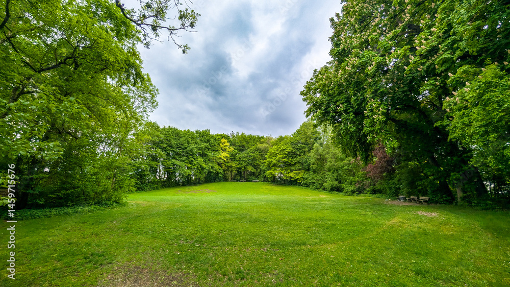 Clearing in lush spring forest under cloudy sky, Germany..