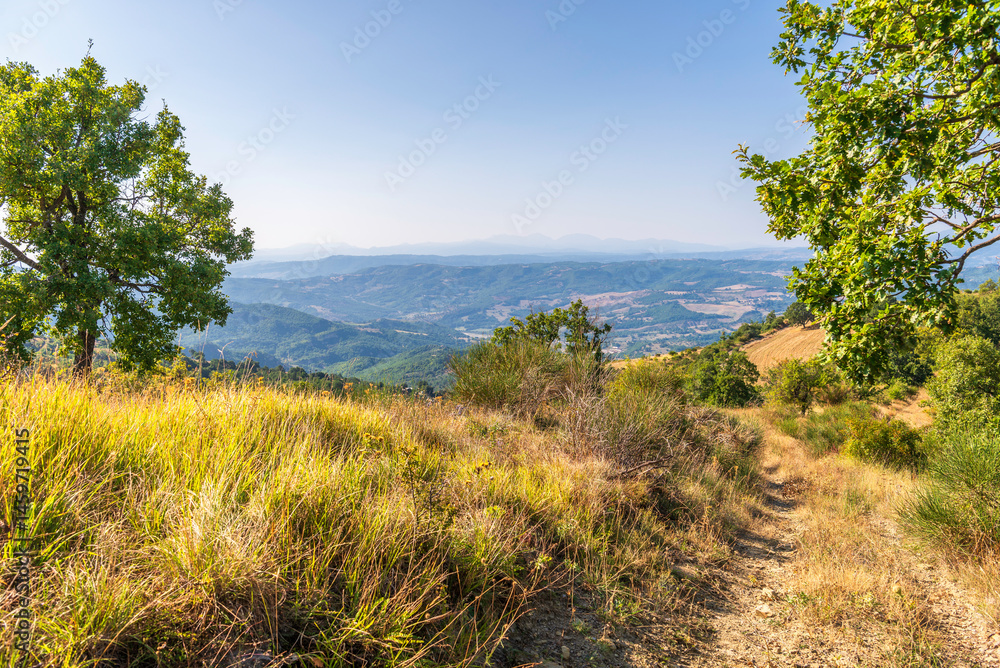 summer countryside landscape inside val d'agri, basilicata summer countryside landscape inside val d'agri, basilicata