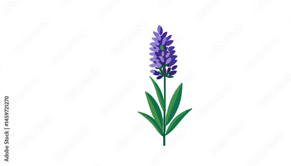 Fototapeta premium Elegant Lavender Flower Vector Representing Calm and Beauty