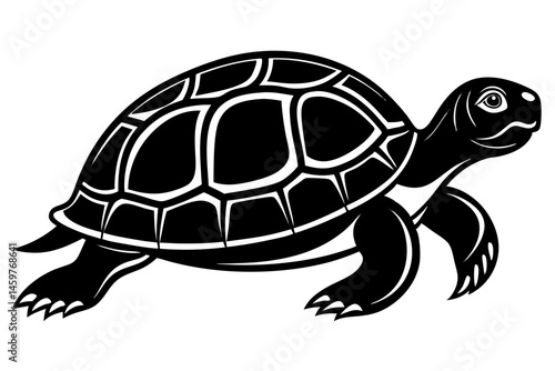 turtle vector illustration