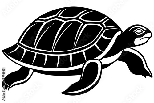 turtle vector illustration