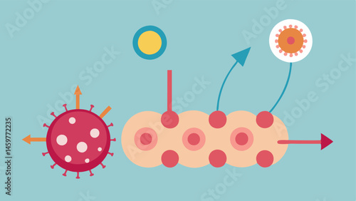 Inflammation Response An illustration depicting small immune cells and growth factors mobilizing in response to microneedling with arrows leading to the collagen fibers to