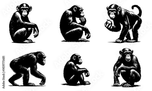Vector cartoon illustration set features a black chimpanzee silhouette alongside a comic -themed animal character design