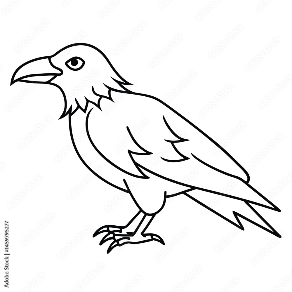 Obraz premium Common Raven illustration white background