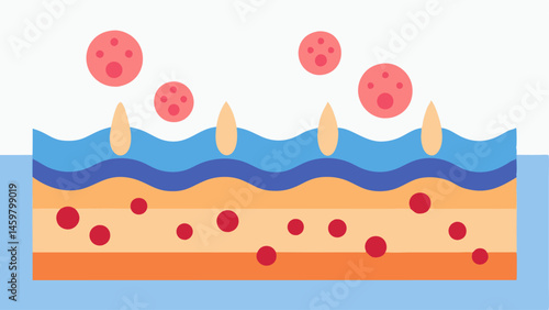 Healing Skin A representation of skin layers with damaged cells at the bottom and healthy regenerated cells above. Exosomes are shown moving upward transforming the cells as they