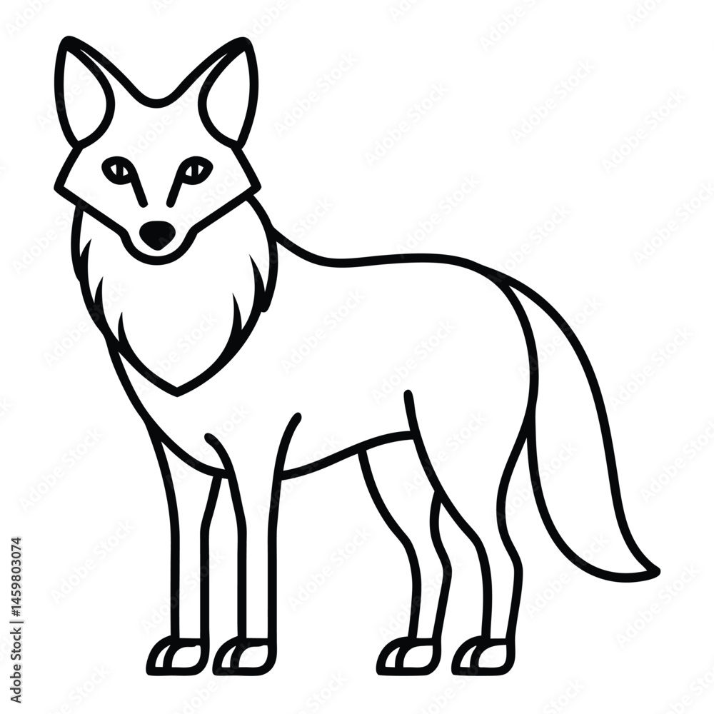 Obraz premium Coyote illustration white background