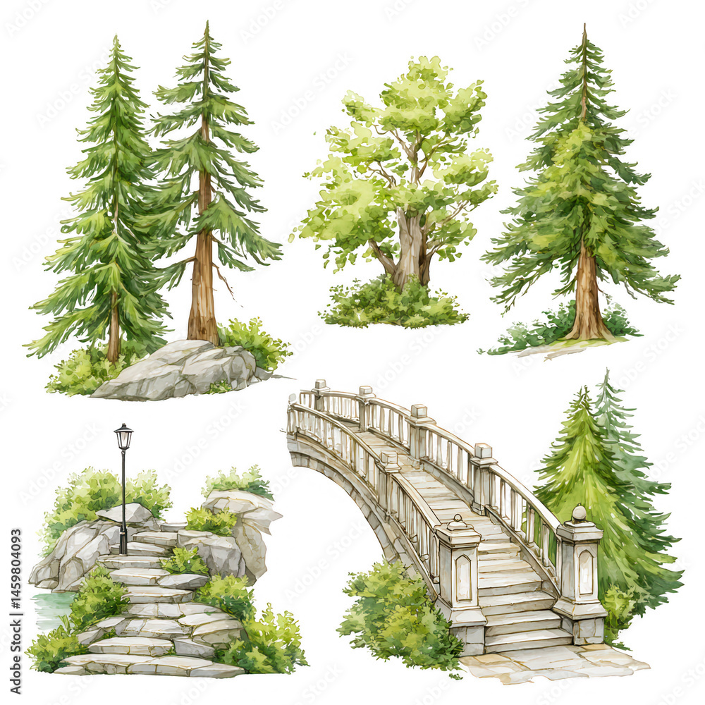 Watercolor illustration shows various trees and bridge on white background.