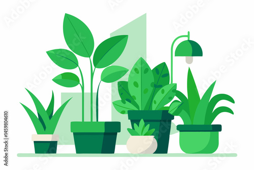 plant in pot