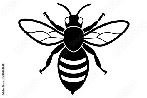 vector illustration of a wasp