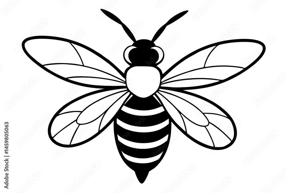 Fototapeta premium bee vector illustration