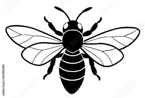 vector illustration of a wasp