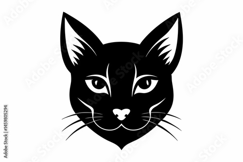 black cat face