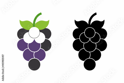 grapes vector illustration