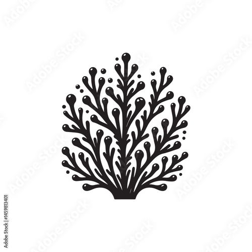 Algae vector (1).eps