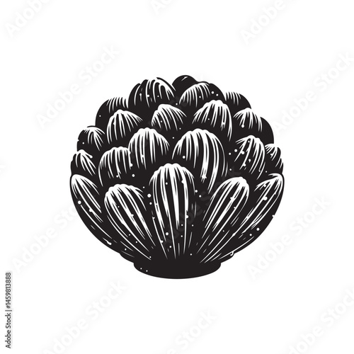 Barnacle vector (1).eps