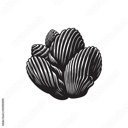 Barnacle vector (4).eps