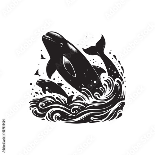 Beluga Whale vector (3).eps