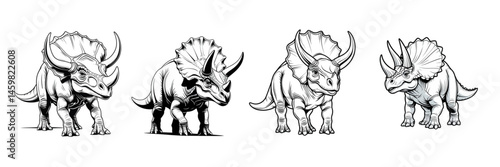 Four triceratops dinosaurs in black and white line art illustration