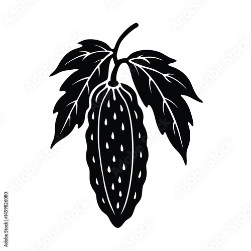 bitter melon vine