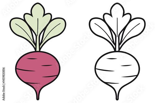 Isolated beet with green leaves is accompanied by a black and white version of it