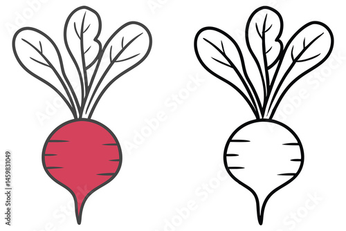 One cartoon beet is red and the other is blackandwhite, isolated on white background