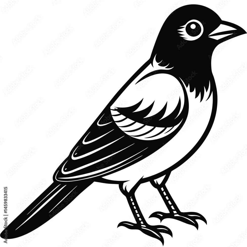 Obraz premium Eurasian Jay illustration white background