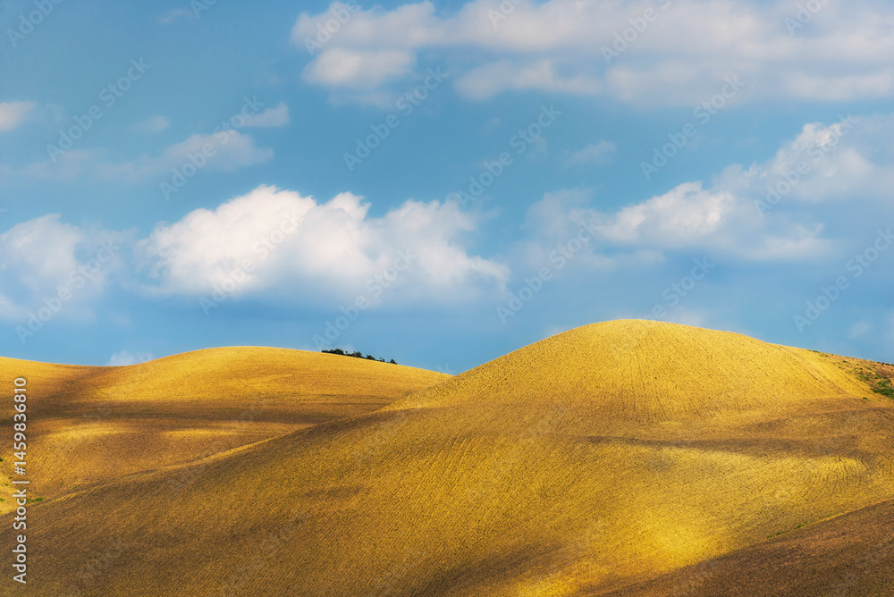 Fototapeta premium summer countryside landscape inside val d'agri, basilicata