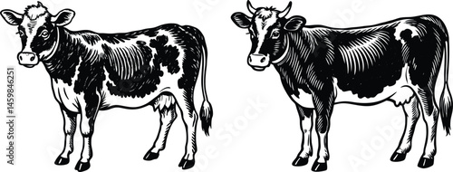 "Vintage Farm Cow Illustrations – Cute Hand-Drawn Line Art Collection"

