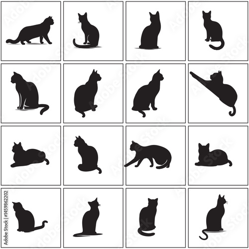 A vector set features a collection of black cat silhouette icons, an illustration of domestic animals