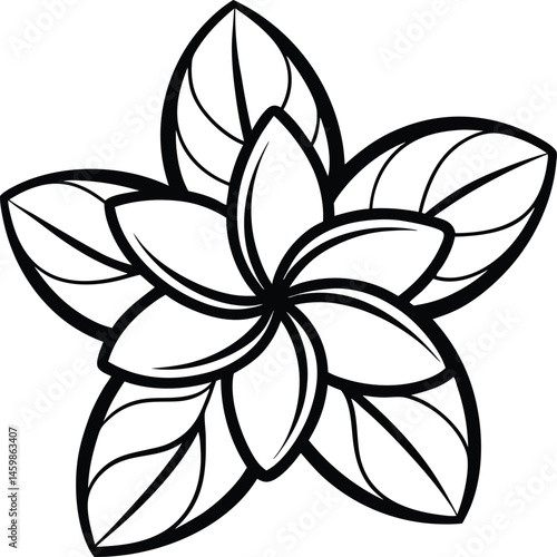 plumeria frangipani flower outline icon