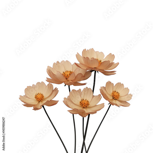 Wallpaper Mural Five delicate beige flowers with layered petals and yellow centers are arranged against plain background, creating serene and elegant composition Torontodigital.ca