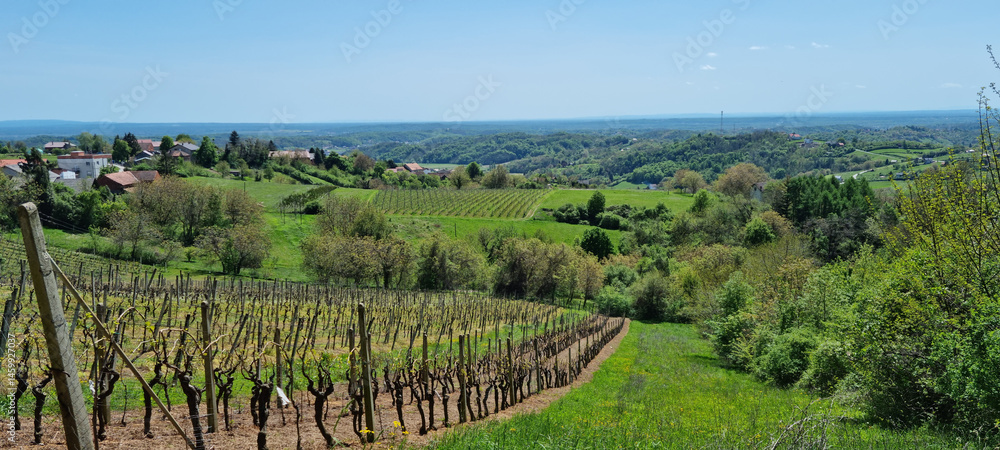 A scenic vista from Gornje Psarjevo looking west captures rolling green hills with vineyards, scattered houses, and distant forests under a bright sky