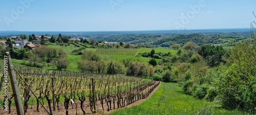 Obraz na płótnie A scenic vista from Gornje Psarjevo looking west captures rolling green hills with vineyards, scattered houses, and distant forests under a bright sky w salonie