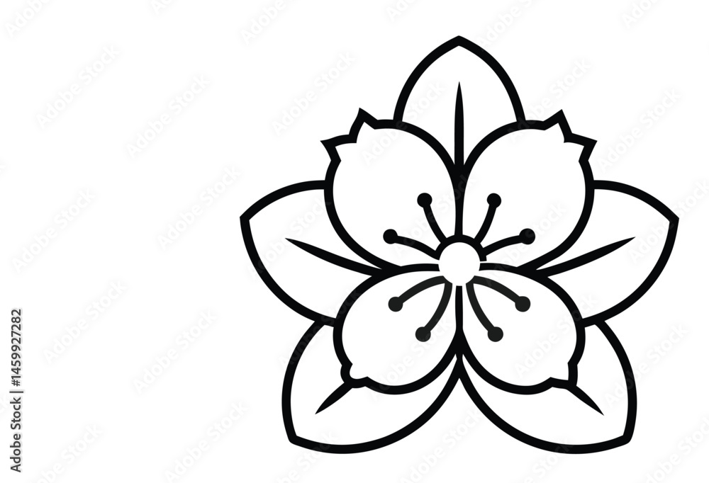 Obraz premium Cherry Flower Vector Images