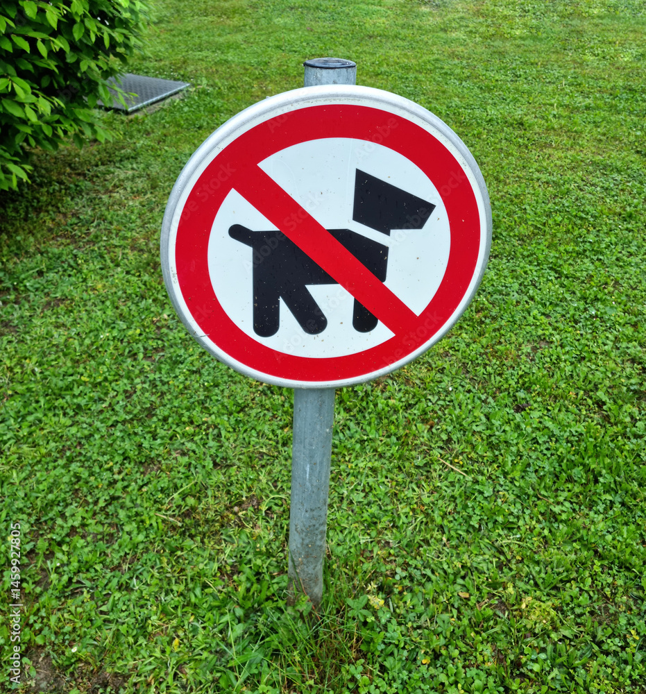 A round - No Dogs Allowed - sign with a red border and diagonal line over a black dog silhouette stands on a metal pole in a grassy area with green foliage in the background