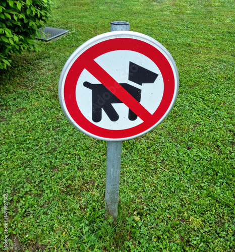 Obraz na płótnie A round - No Dogs Allowed - sign with a red border and diagonal line over a black dog silhouette stands on a metal pole in a grassy area with green foliage in the background w salonie