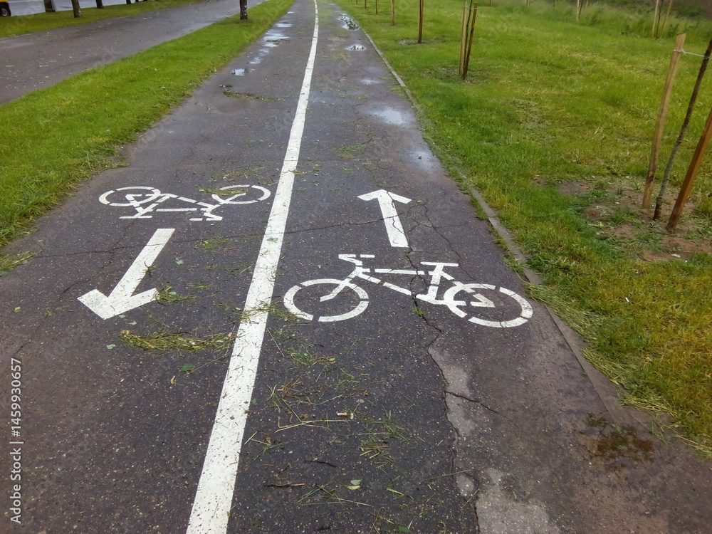 Obraz premium Wet bicycle lane with directional signs on asphalt path surrounded by green grass after rain