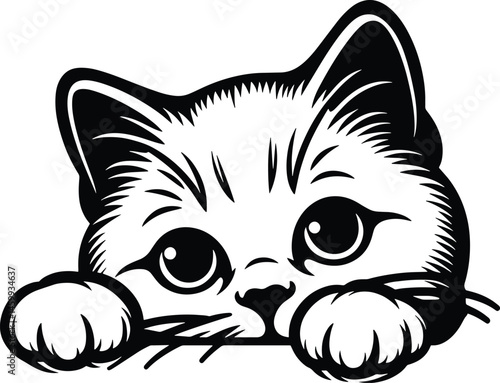 Cute Kitten Peeking Out