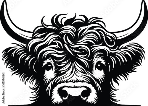 Highland Cow Head peeking Silhouette