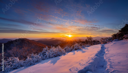 an amazing sunrise on a bitter cold morning along the snow covered appalachian trail in the blue ridge mountains