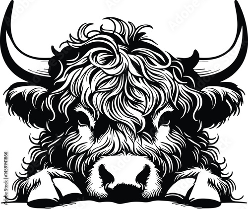 Detailed Monochrome peeking Highland Cow Face