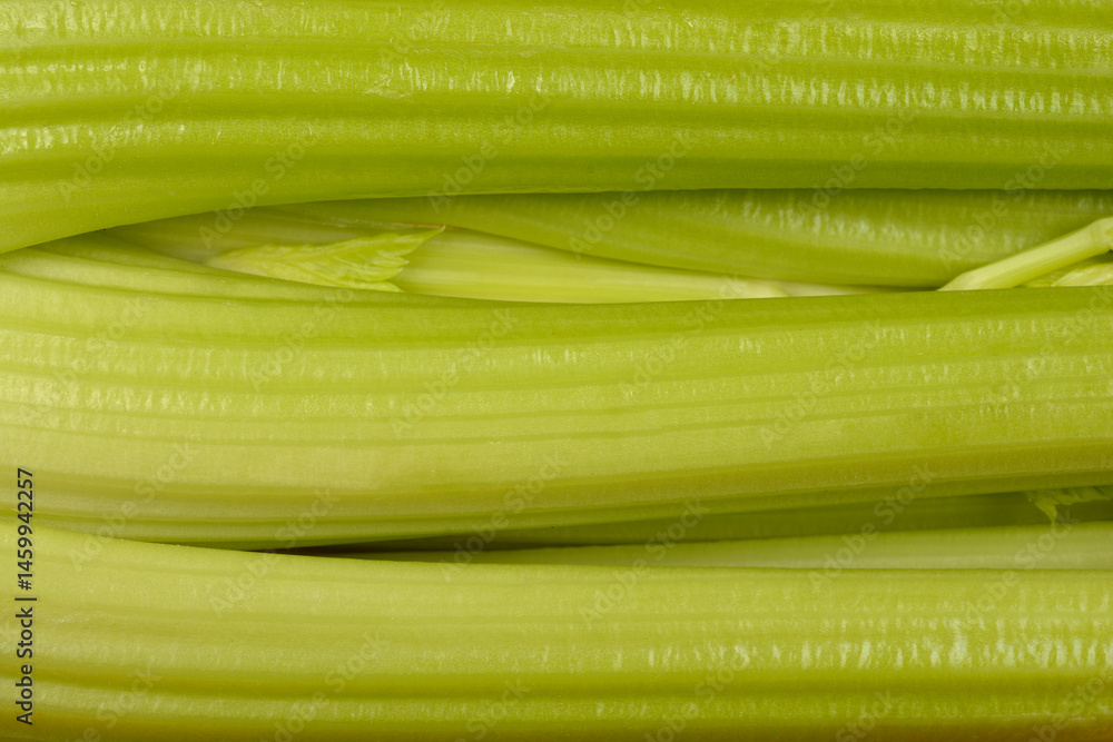 A very close-up shot focuses on the ribbed texture and vibrant green color of fresh celery stalks