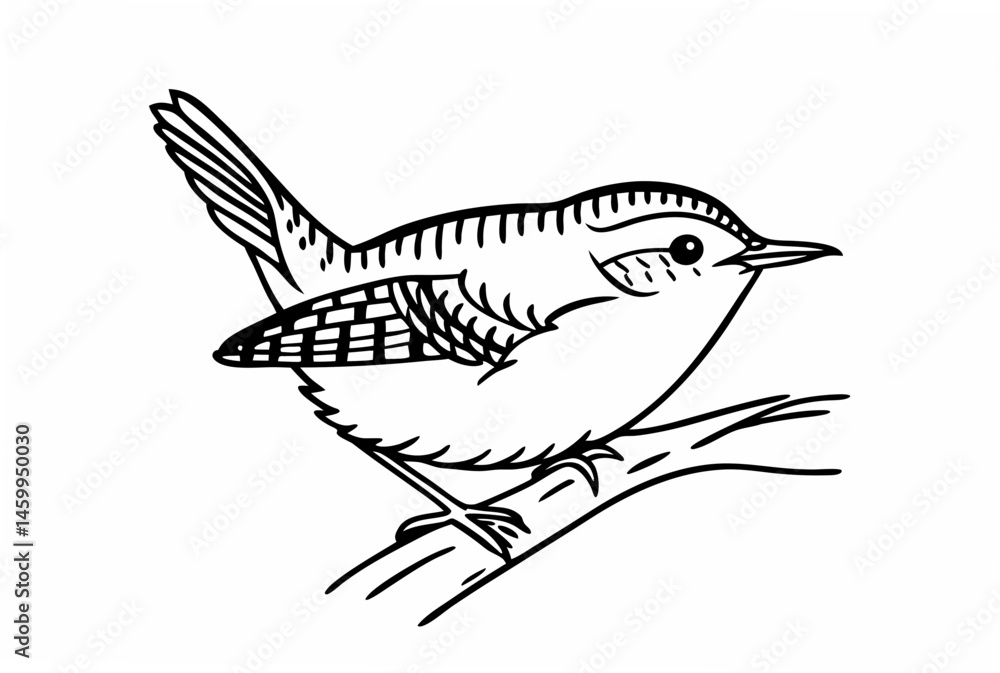 Obraz premium vector illustration of a bird