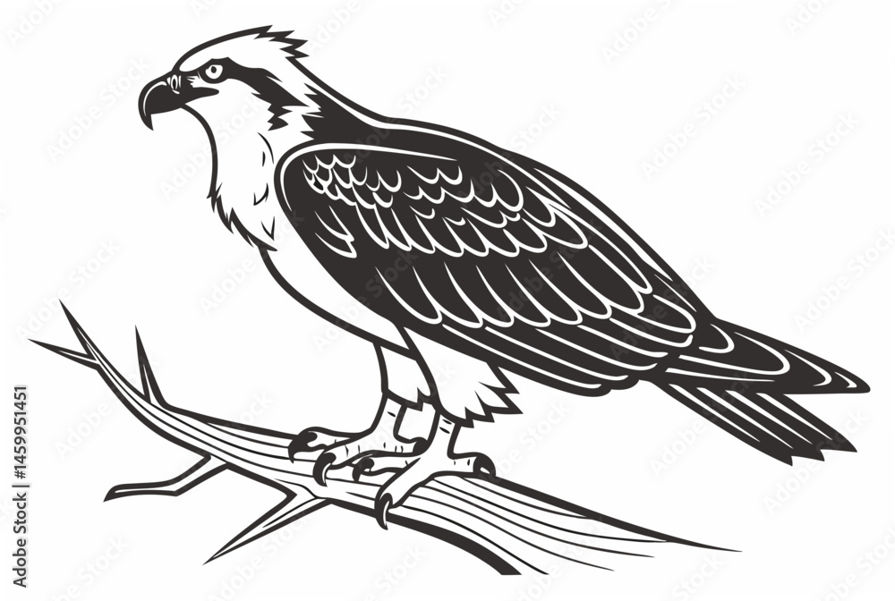 Obraz premium eagle on a white background