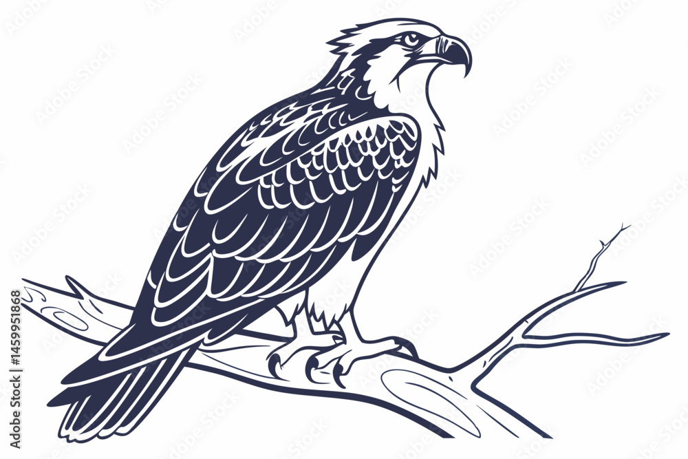 Fototapeta premium eagle vector illustration