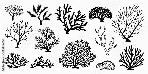 Coral reef vector illustration set, sea corals silhouette, ocean life, marine plants, underwater world art


