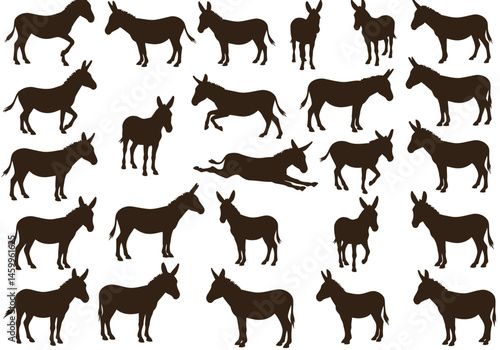 Seamless pattern of donkey silhouettes, farm animal background, vector illustration, equine design, mule art
