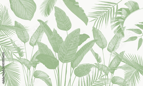 Minimalist Light Green Tropical Leaf Illustration, Simple and Modern Foliage Design for Various Applications

