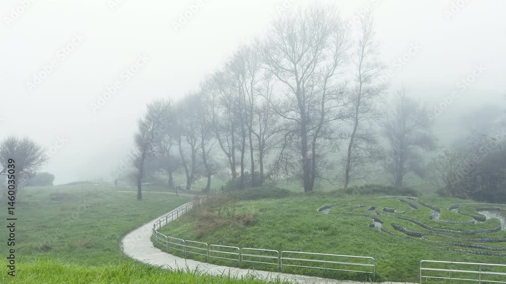 Winding path through foggy park with bare trees Winding path through foggy park with bare trees